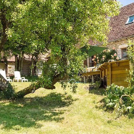Magnificent With Pool In